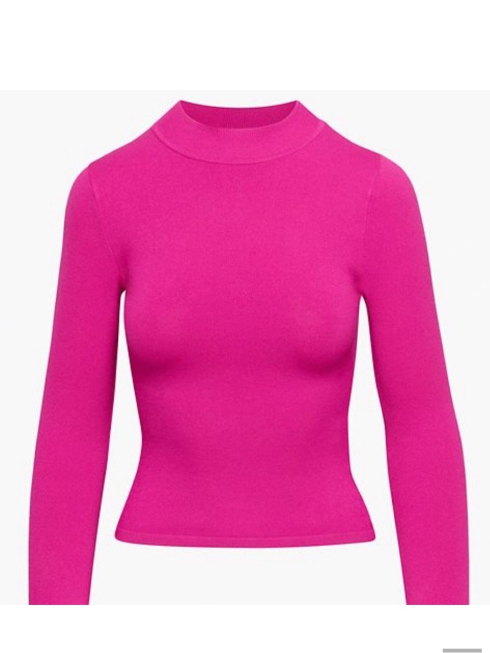 Aritzia Babaton Astrid Sculpt Knit
Mock neck Longsleeve